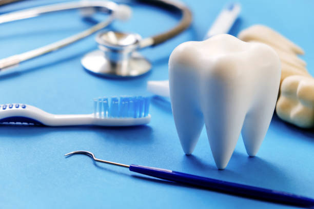 Professional Dental Services in Reno, OH